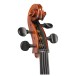 Gewa Sonata Cello Outfit, 4/4, Carbon Bow 5