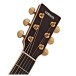Yamaha LS6ARE Electro Acoustic, Natural