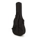 Yamaha LS6ARE Electro Acoustic, Natural
