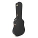 Martin D-18E Fishman Thinline Gold #M2995118 - case