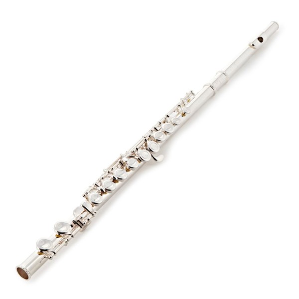 Trevor James TJ5X Student Flute 2