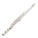 Trevor James TJ5X Student Flute 2