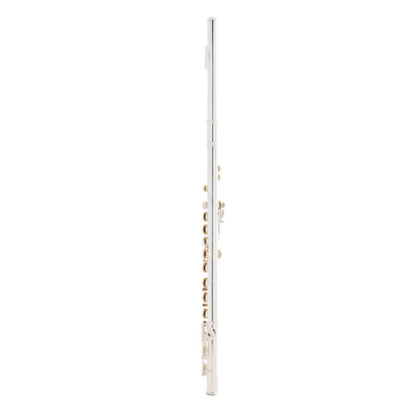 Trevor James TJ5X Student Flute 3