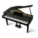DG30 Digital Grand Piano, Top With Lid Open