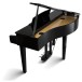 DG30 Digital Grand Piano, Back