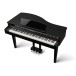 DG30 Digital Grand Piano, Top Lid Closed