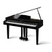 DG30 Digital Grand Piano, Styled