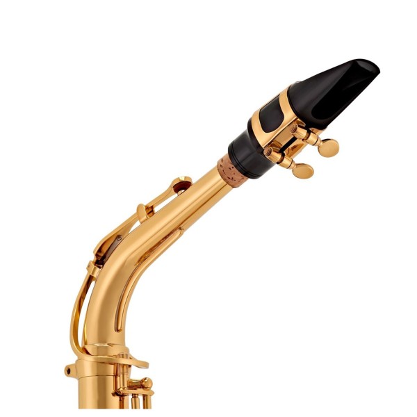 Yamaha YAS280 Student Alto Saxophone Package, Gold Lacquer 7