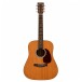 Martin D-1 (1993-2003)