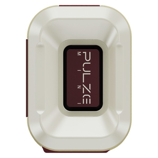 Hotone Pulze Mini Bluetooth Modeling Amplifier - left 