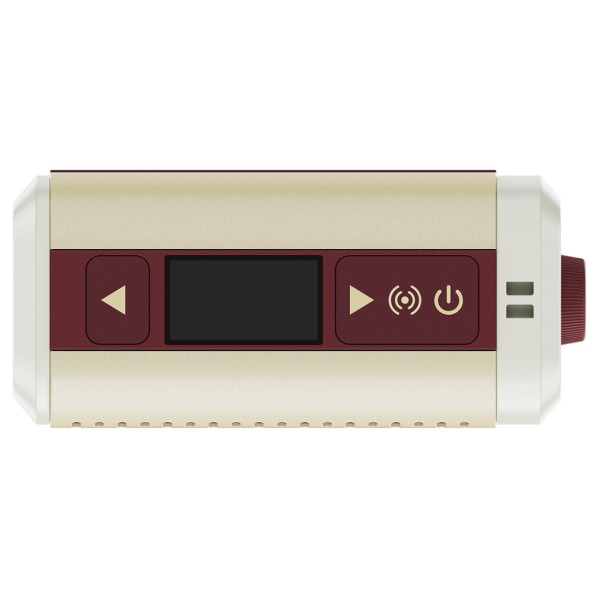 Hotone Pulze Mini Bluetooth Modeling Amplifier - top