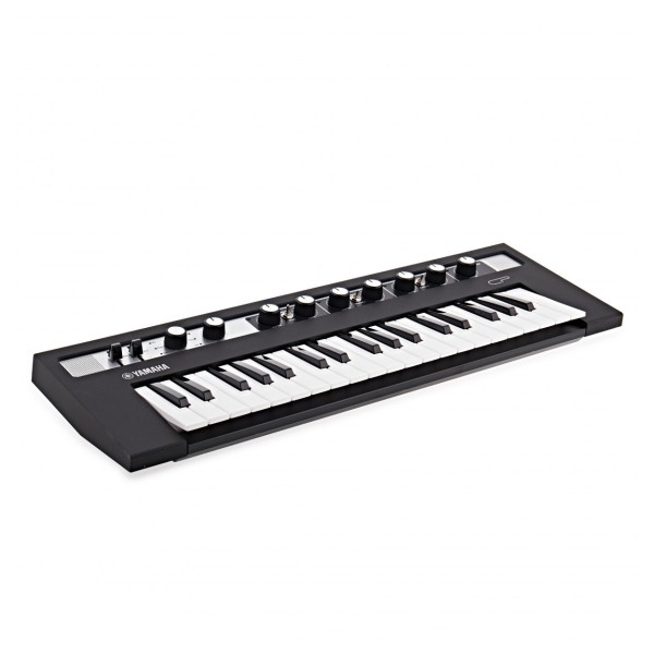 reface CP Synthesizer - Angled