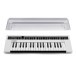 Yamaha reface CS Synthesizer with Decksaver - Bundle