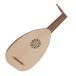 7 Course Lute with 13 Strings