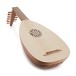 7 Course Lute with 13 Strings