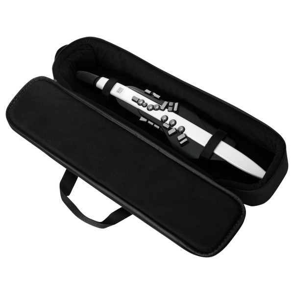 Roland Aerophone AE-20 with Bag