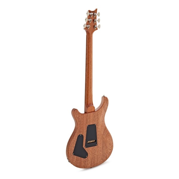 PRS Custom 24 'Birds of a Feather' Limited Edition, Charcoal Microburst - back