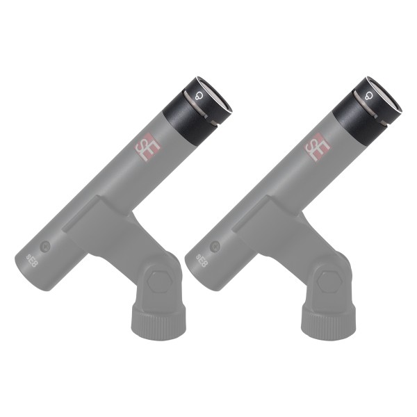 sE Electronics sE8 Supercardioid Capsule Pair - Demo