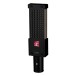 sE Electronics VR1 Next Generation Passive Ribbon Microphone - Angle