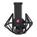 sE Electronics VR1 Next Generation Passive Ribbon Microphone - Shock Mount