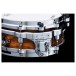 Tama Peter Erskine 10