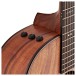Taylor 724ce, Natural - controls