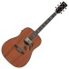 Ibanez PF34MHE-NT, Natural High Gloss