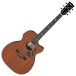 Ibanez PC34MHCE-NT, Natural High Gloss