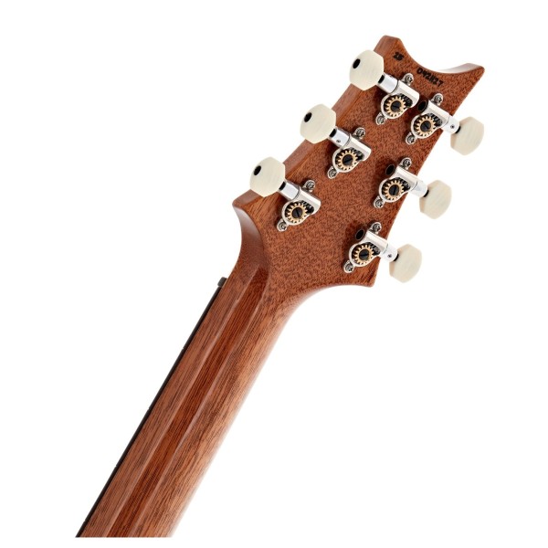 PRS DGT, Tiger Eye, Birds #0421127 - back of headstock