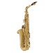 Elkhart 100AS Student Alto Saxophone Package, Gold Lacquer 2