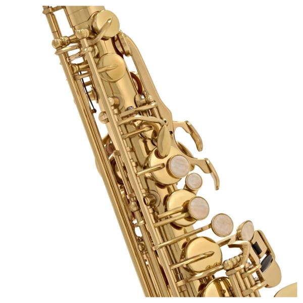 Elkhart 100AS Student Alto Saxophone Package, Gold Lacquer 3