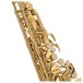 Elkhart 100AS Student Alto Saxophone Package, Gold Lacquer 3