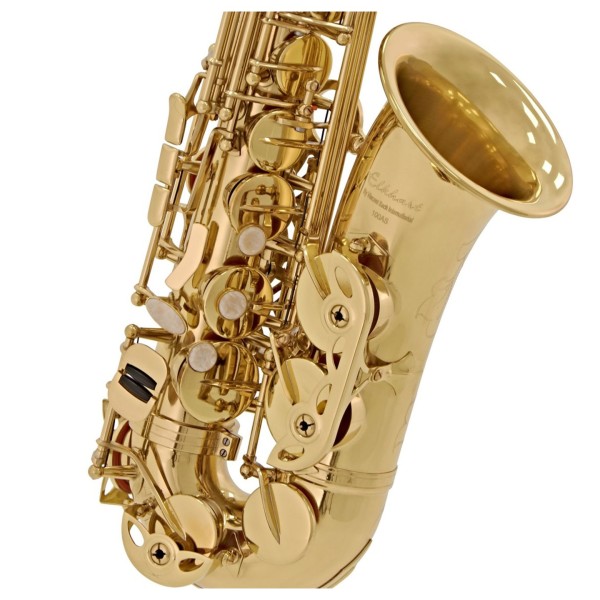 Elkhart 100AS Student Alto Saxophone Package, Gold Lacquer 4