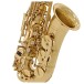 Elkhart 100AS Student Alto Saxophone Package, Gold Lacquer 4