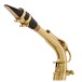 Elkhart 100AS Student Alto Saxophone Package, Gold Lacquer 5