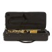Elkhart 100AS Student Alto Saxophone Package, Gold Lacquer 6