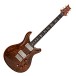 PRS DGT Semi-Hollow, Tiger Eye, Birds #0427294