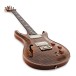 PRS DGT Semi-Hollow, Tiger Eye, Birds #0427294 - angled shot
