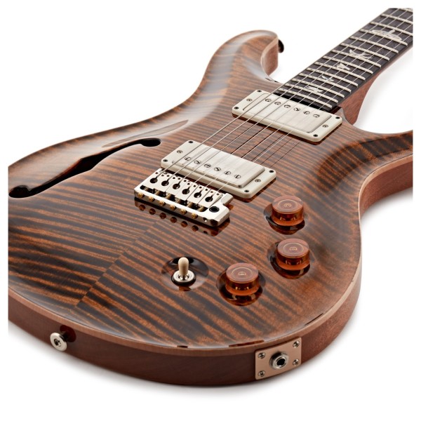 PRS DGT Semi-Hollow, Tiger Eye, Birds #0427294 - body