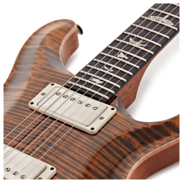 PRS DGT Semi-Hollow, Tiger Eye, Birds #0427294 - upper frets