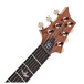PRS DGT Semi-Hollow, Tiger Eye, Birds #0427294 - headstock