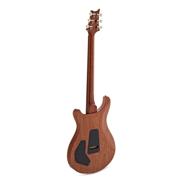 PRS DGT Semi-Hollow, Tiger Eye, Birds #0427294 - back