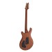 PRS DGT Semi-Hollow, Tiger Eye, Birds #0427294 - back