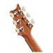PRS Custom 24, Aurora Borealis, 10-Top #0415396 - back of headstock