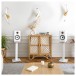 Triangle Capella Wi-Fi and Bluetooth Speaker System, Space White -lifestyle 3