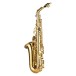Grassi SAL700 School Series Alto Saxophone, Brass Lacquer 3