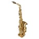 Grassi SAL700 School Series Alto Saxophone, Brass Lacquer 4
