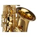 Grassi SAL700 School Series Alto Saxophone, Brass Lacquer 5