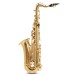 Roy Benson AS201 Alto Saxophone for Children 2