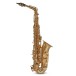 Roy Benson AS302 Alto Saxophone